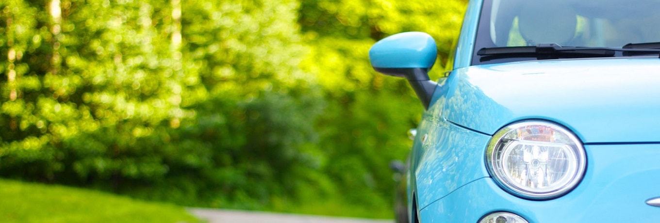 Car Rentals