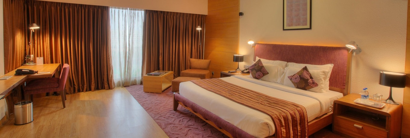 Places to Stay